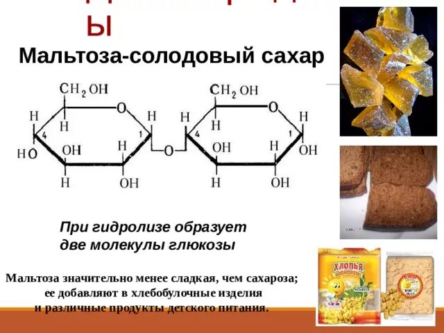 При гидролизе фруктозы образуется. Мальтоза солодовый сахар. Гидролиз мальтозы. Мальтоза это углевод. Мальтоза дисахарид.