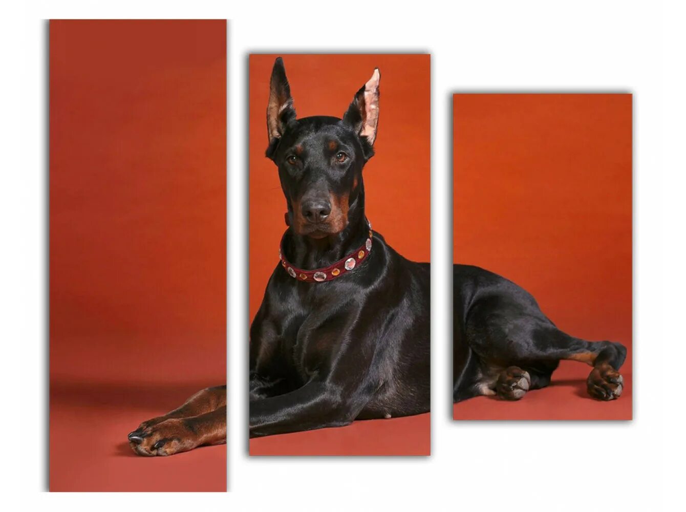 магазины доберман. европейский доберман. сант креал куберт. доберман зоомагазин. кружечка доберман.