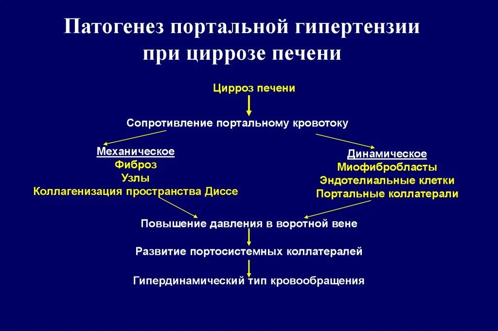 Гипертонии печень. Синдром портальной гипертензии механизмы развития. Механизм развития портальной гипертензии при циррозе печени. Механизмы развития синдромы цирроза печени. Внутрипеченочные механизмы развития портальной гипертензии.