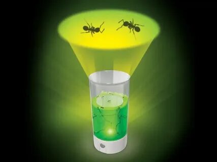 Ant lighting