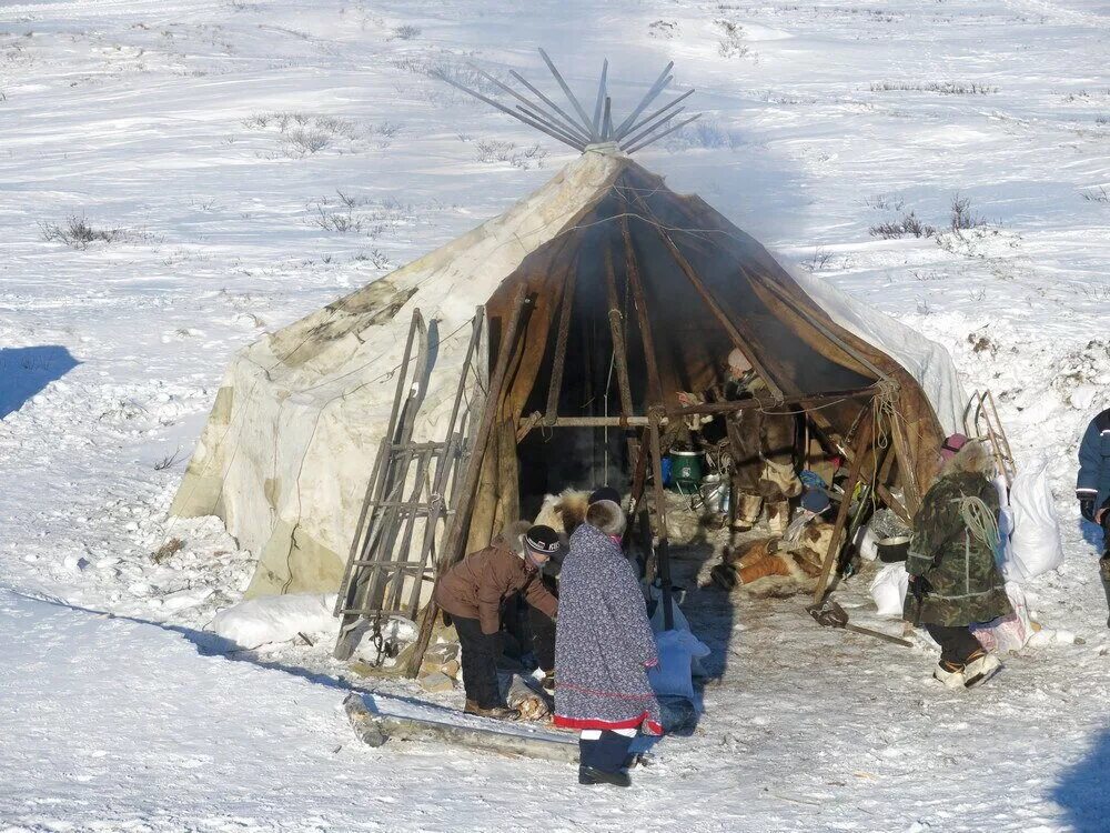 Жилище народов крайнего севера. Яранга чукчей. Яранга Чукотка. Чукчи жилище яранга. Чум яранга юрта.