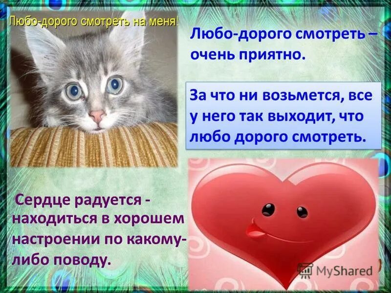 любо дорого логотип. любо дорого все будет хорошо. любо. любо дорого группа. любо дорого надпись.