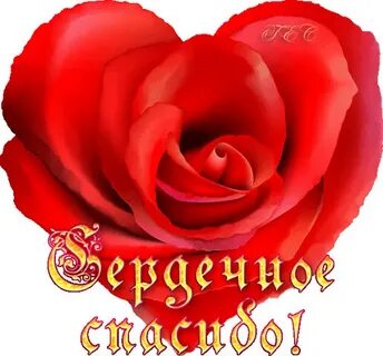 i?id=8db9729e9edc7a47db1c4a63cf4381fd86dbaada-5526617-images-thumbs&n=13