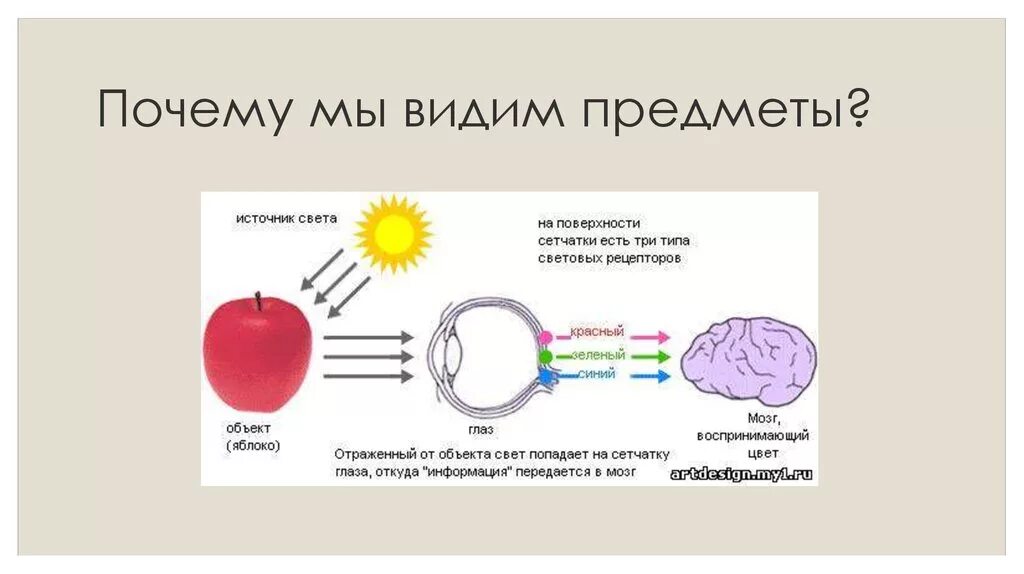 Благодаря чему мы видим