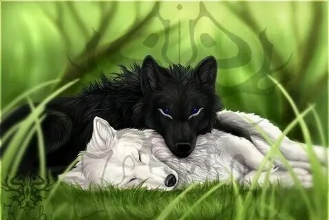 черный волк и белая волчица арт: 2 тыс изображений найдено в Яндекс  Картинках