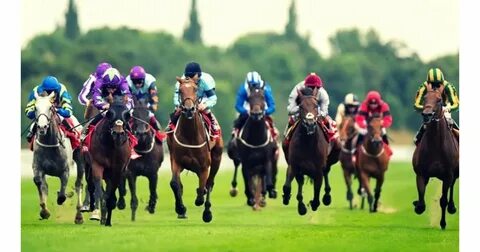 Horse racing betting