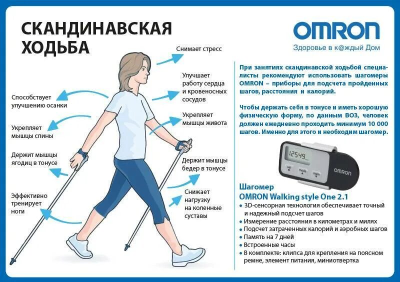 Силовая ходьба что это. Скандинавская ходьба с палками техника ходьбы. Техника скандинавской ходьбы для начинающих с палками. Скандинавская ходьба польза. Высота палок для скандинавской ходьбы.