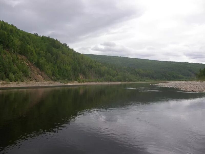 Зеи б