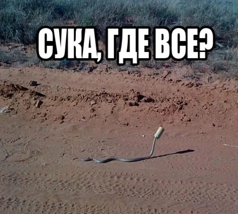 Ты куда одиссей от жены от детей. Отстань противный. Рыжий кот обернулся. Рыжий кот обернулся. Злые вы уйду я от вас.