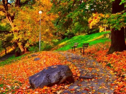Күз туралы