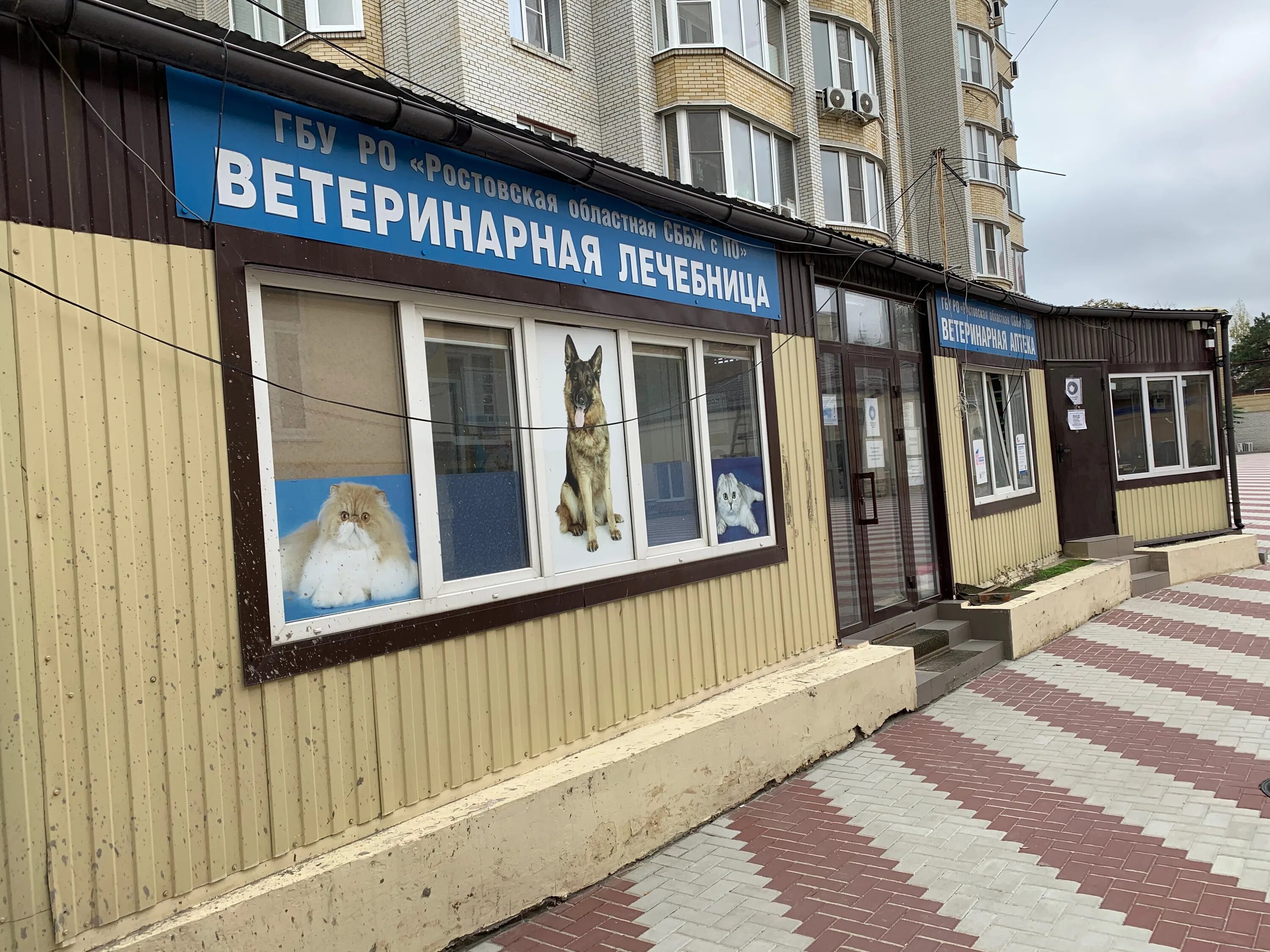 Ветклиника амиго ростов-на-дону на 19 линии. Центр ветеринарной медицины на белорусской улице, ростов-на-дону. Ветклиника ростов отзывы. Фрау мяу ростов. Ветклиника амиго ростов-на-дону на 19 линии.