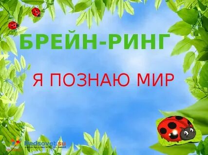 Природа картинки проект