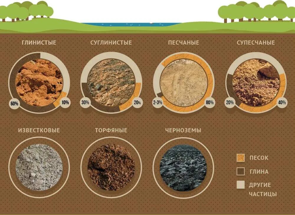Земля это какой грунт. Типы грунтов. Виды почв. Глинистые почвы виды. Типы песчаных грунтов.