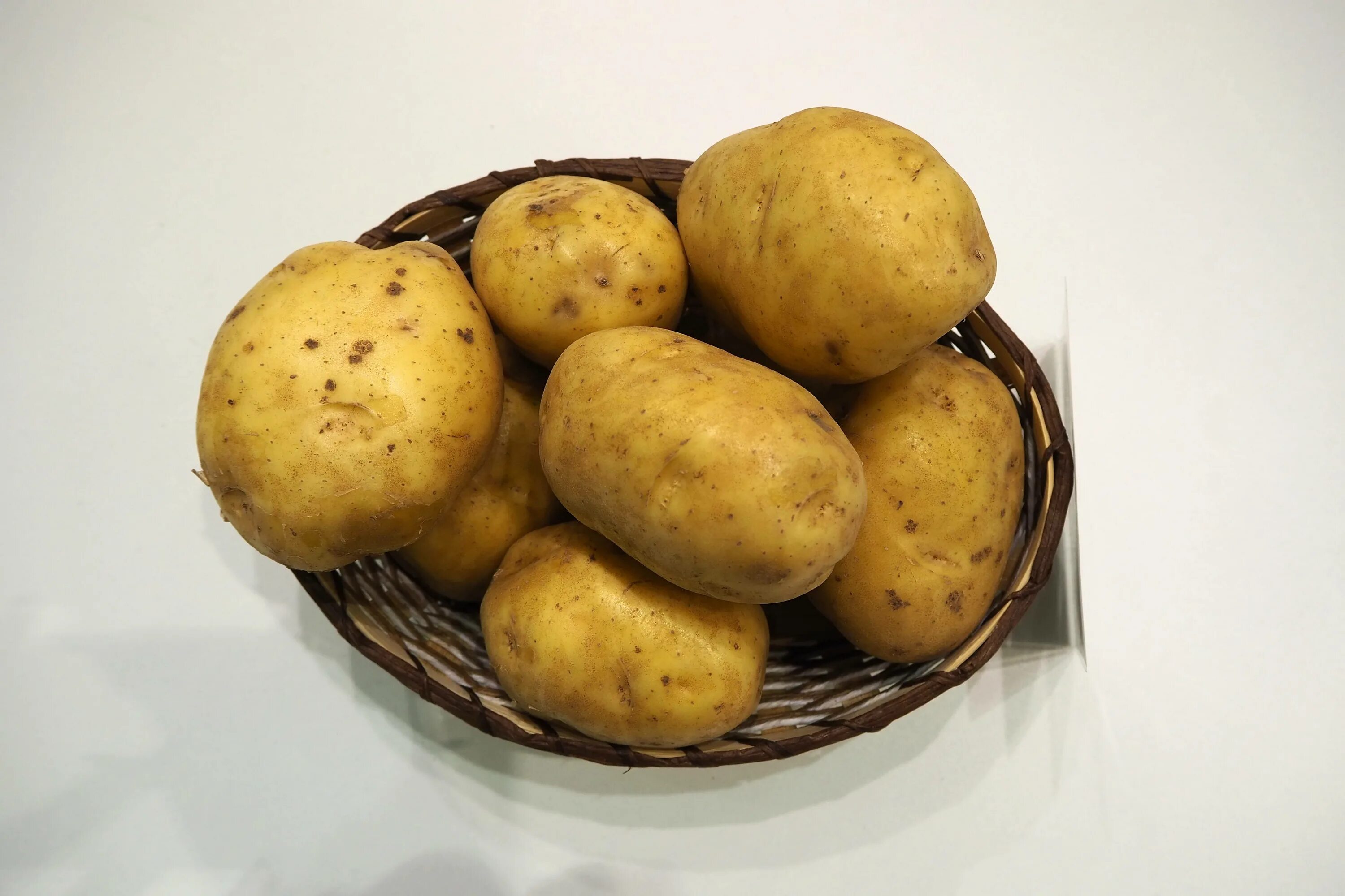 Три сорта картофеля. Картофель миа. картофель сорт никулинский. сорт картофеля миа. картофель мерлот.