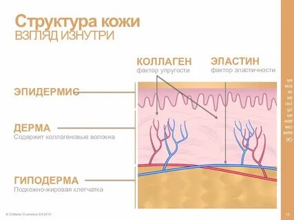 Коллаген подкожно