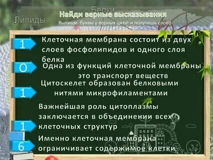 Выделите правильное высказывание