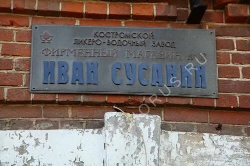 купчино сусанино завтра