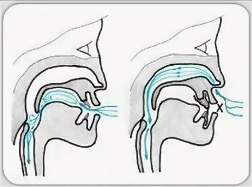 Дыхание через рот через нос. Дыхание через нос. Воздух через нос. Дыхание через нос и через рот. Дыхание через нос выдох ртом.
