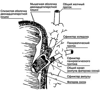 Раздражение сфинктера