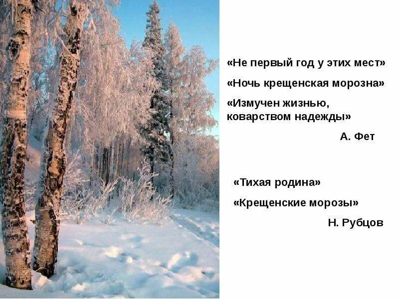 Анализ стихотворения крещенская ночь. Крещенская ночь бунин. Крещенская ночь бунин. Стихотворение крещенская ночь. Стихи фета про ночь.