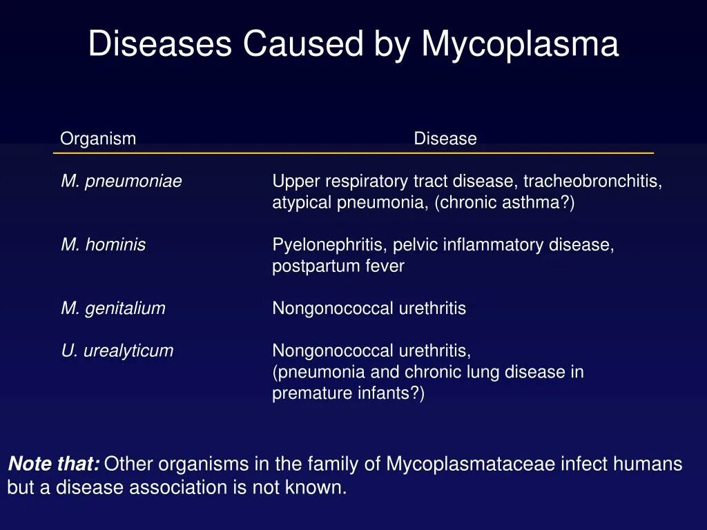 Mycoplasma hominis полукол днк. Микоплазма гоминис m.hominis. микоплазма гоминис mycoplasma. заболевания, вызываемые mycoplasma hominis.