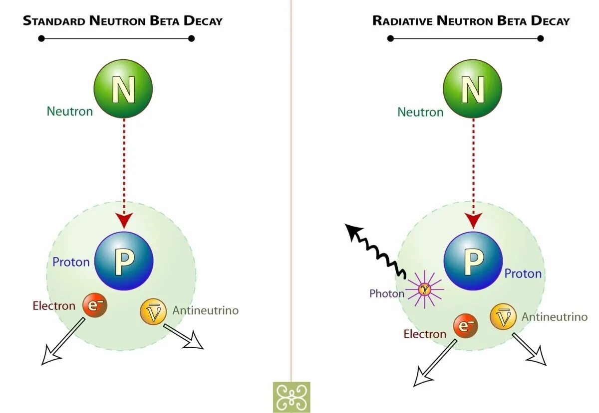 Распад нейтрона. Схема распада свободного нейтрона. Нейтрон распадается на Протон и электрон. Нейтрино и антинейтрино.