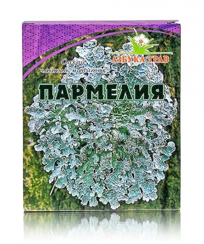 Пармелия трава для чего используется. Трава лишайник пармелия. пармелия лекарство. пармелия от кашля. пармелия применение.