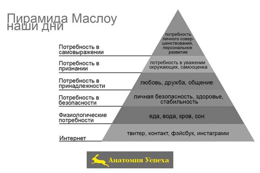 К высшим потребностям относятся