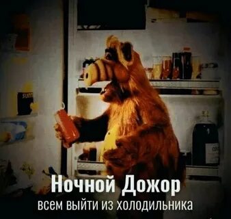 Дожор