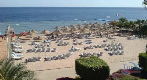 Queen beach