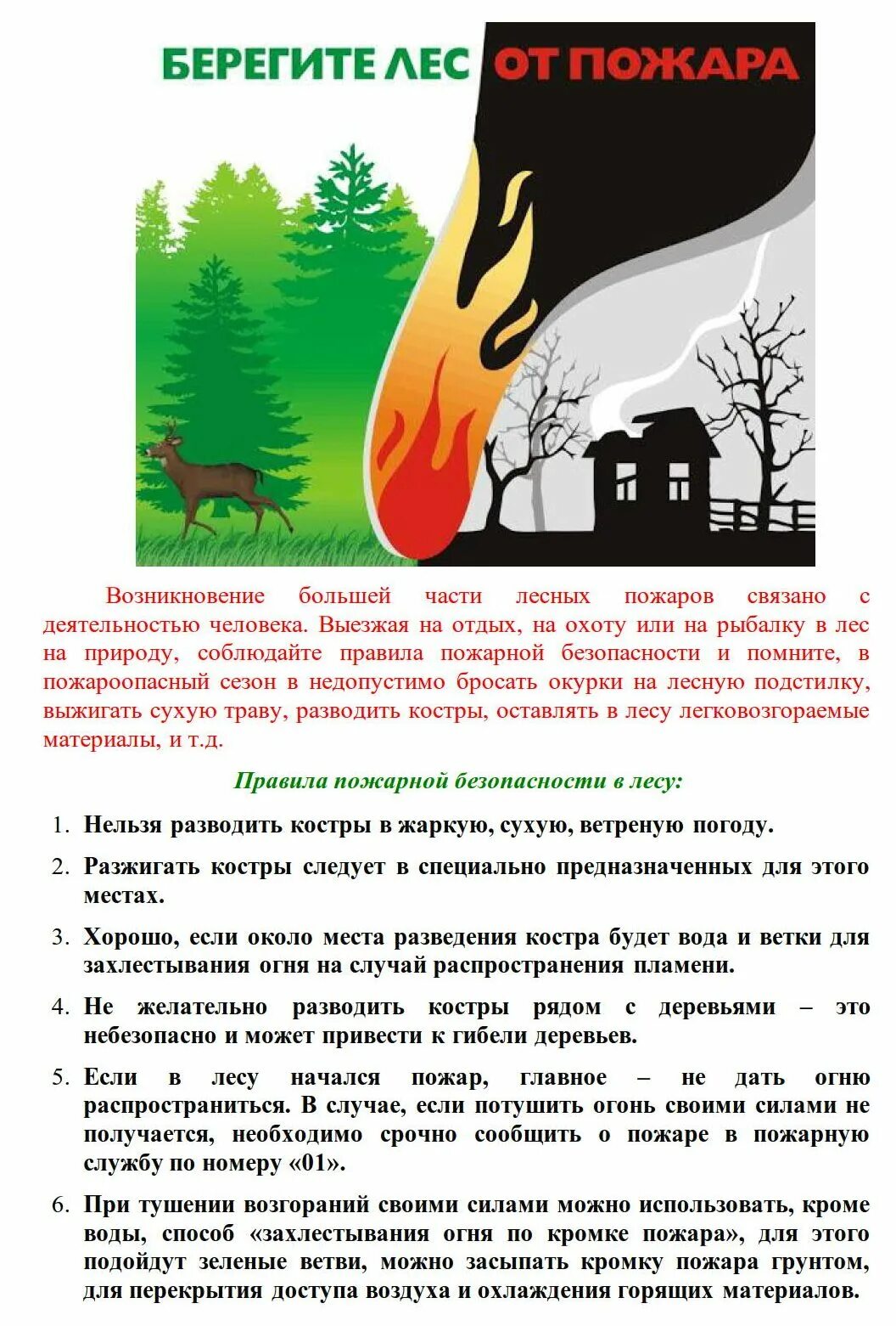 Составить текст берегите лес от пожара. Составить текст берегите лес от пожара. Текст на тему берегите лес от пожара. Берегите леса сочинение. Текс на тему берегите лес.