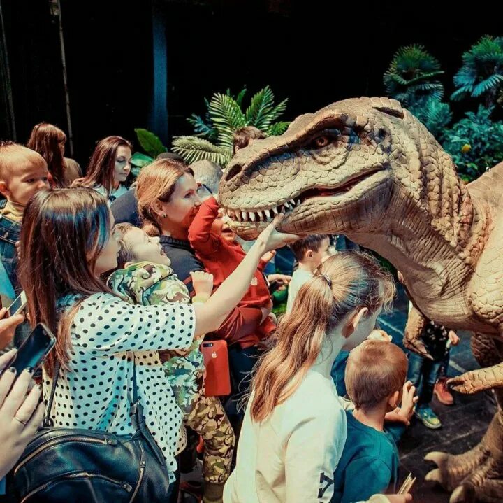 Динозавр шоу отзывы. Шоу динозавр. Шоу динозавров в Москве. Динозавр шоу Новокосино. Шоу динозавры вперед в прошлое.