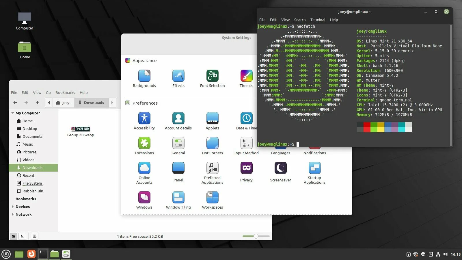 Линукс минт ядро. Линукс минт 21. окружение cinnamon в linux mint. linux mint 21 vanessa cinnamon. linux mint с окружением mate.