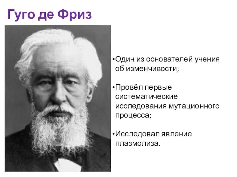 Г фриза. Хьюго де фриз. Гуго де фриз вклад в биологию. Де фриз ученый. Хуго де фриз нидерландский биолог.