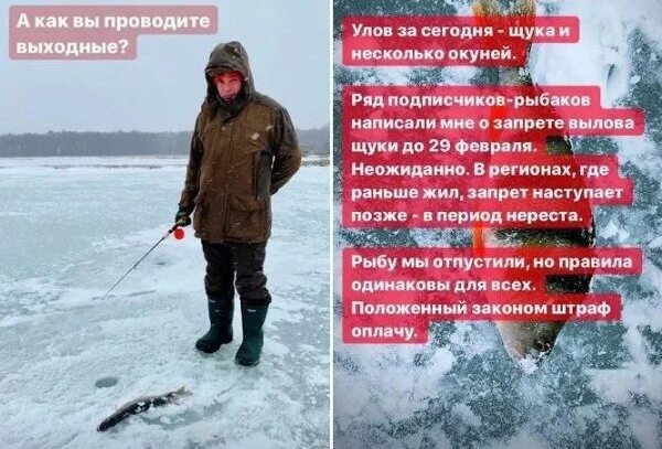Рыба в запрете в феврале. Запрет на вылов щуки в Кемеровской области. Липецкая область запрет на ловлю щуки 2022. Запрет на зимний улов щуки в Саратовской области.