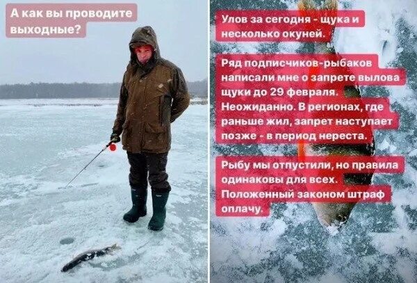 Запрет на щуку 2025