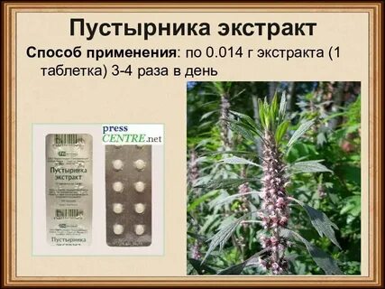 Пустырник запор