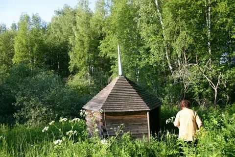 Погода в левкиево шаховская