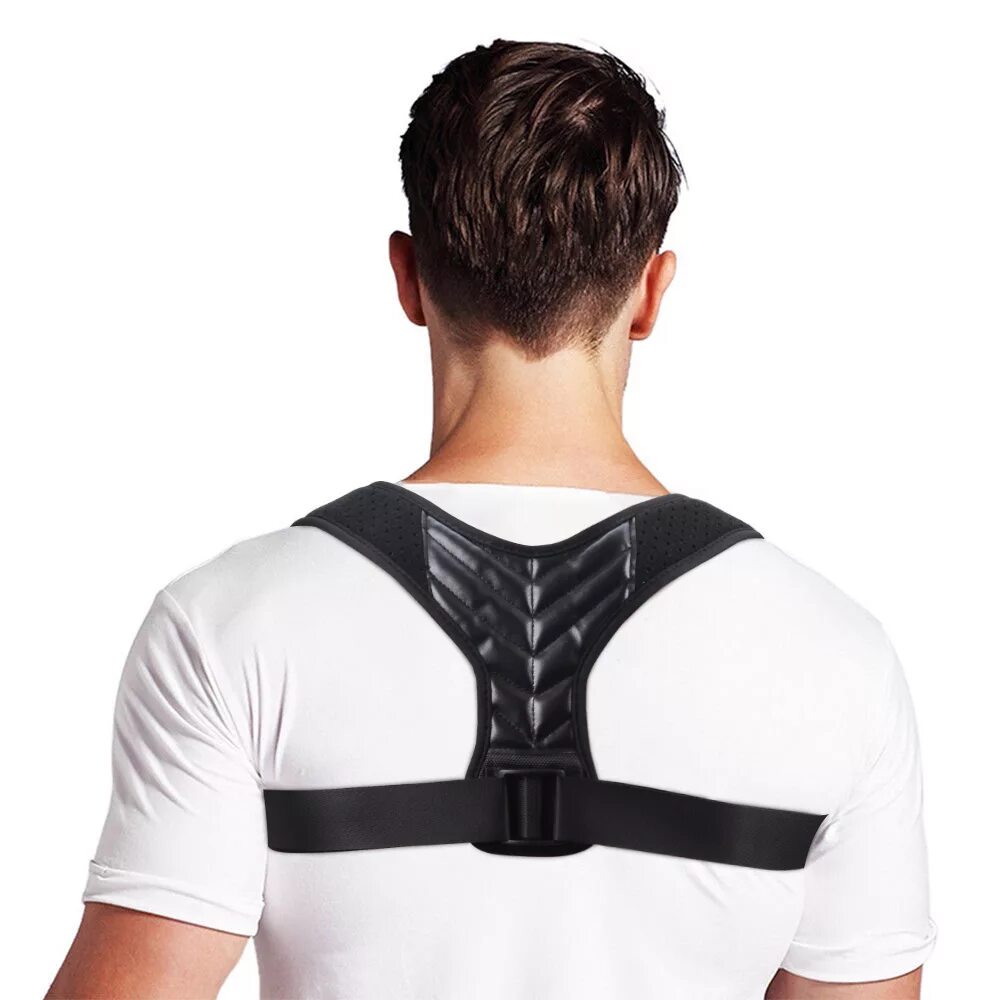 Back supports