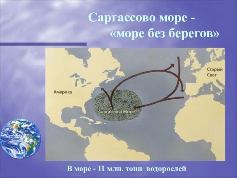 Море не имеющее берегов. Саргассово море. саргассово море почему без берегов. саргассово море море без берегов. саргассово море берег.