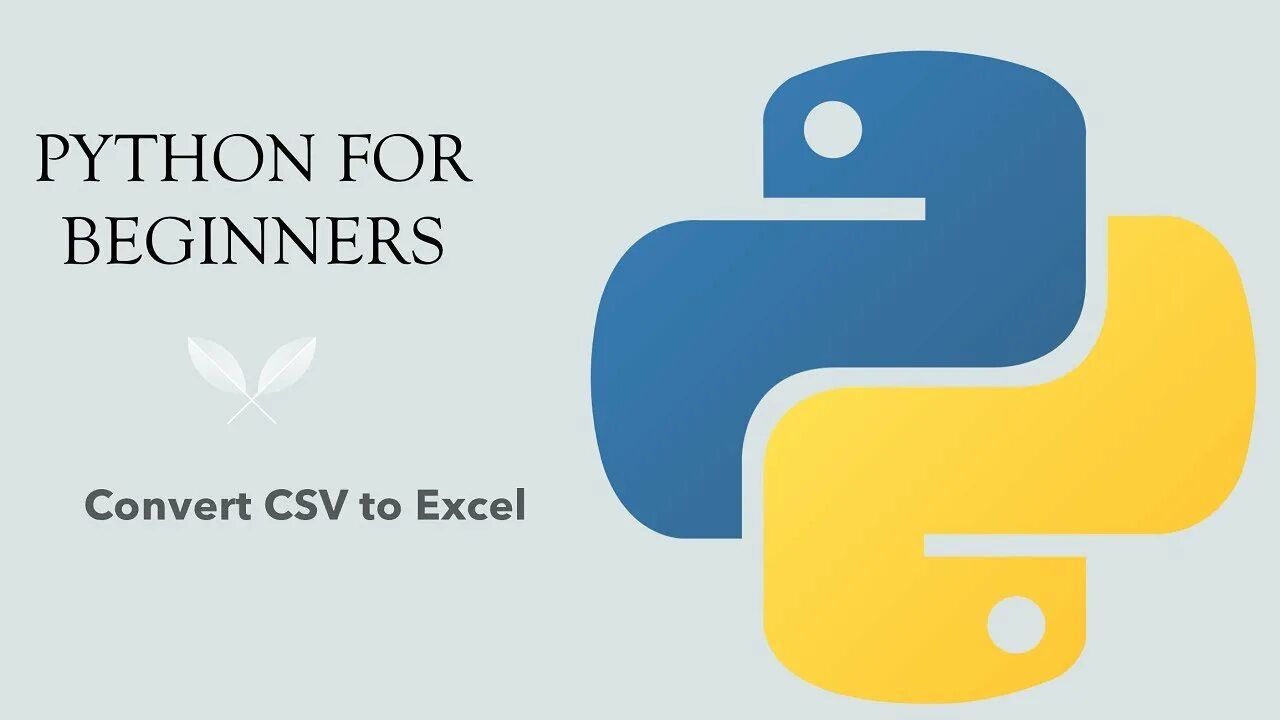 Python check. Питон версия 1. switch case питон. python for beginners. python package.
