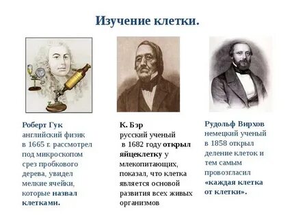Имена ученых биологии