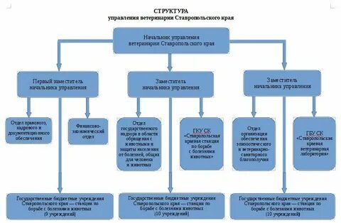 Органы управления ветеринарии