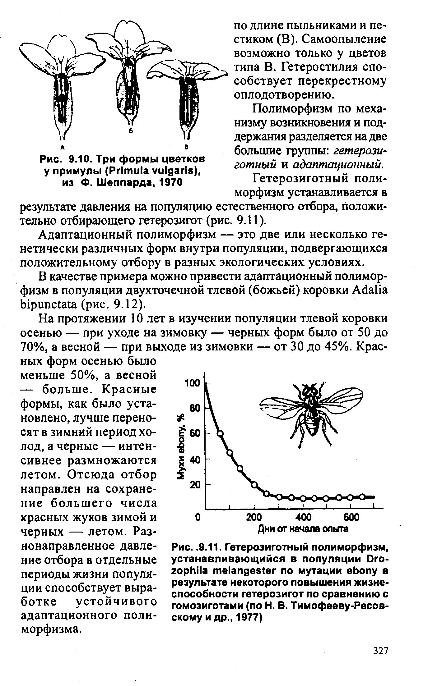 Вариант полиморфизма в гетерозиготной форме что это. Адаптационный полиморфизм пример. полиморфизм популяции. гетерозиготный полиморфизм. пример гетерозиготного полиморфизма.