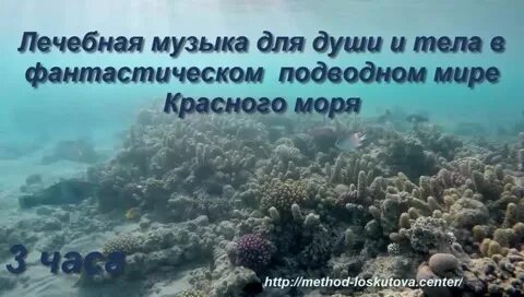Нежная музыка успокаивает нервную