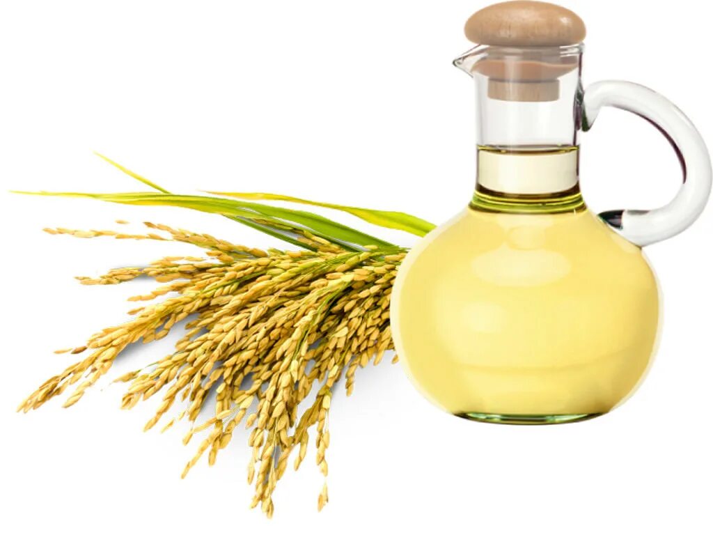 Rice extract. Rice bran oil. рисовое масло. масло рисовых отрубей. рисовых отрубей масло 500 мл.