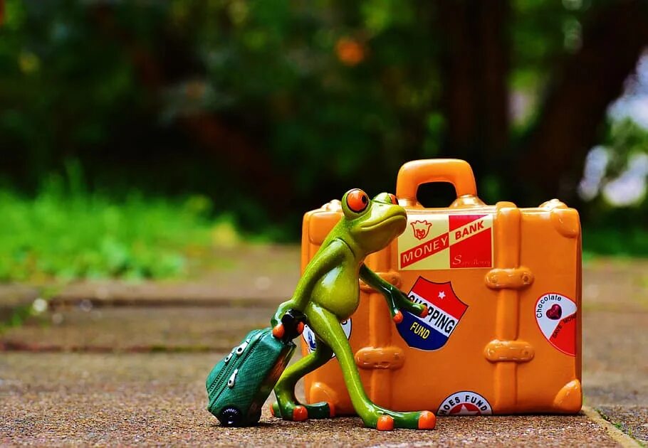 Go away on holiday. Лягушонок путешествует. Лягушка с чемоданом. Путешествия креатив. Лягушка путишетвича.