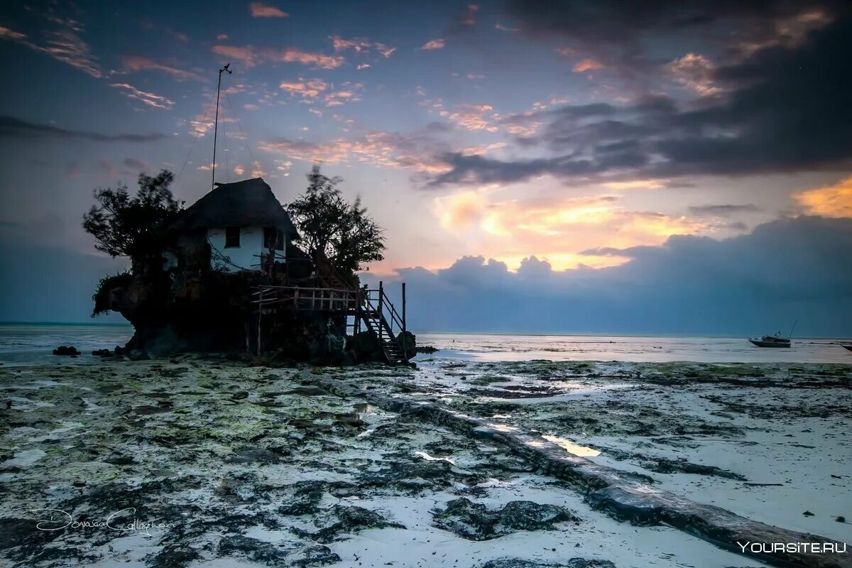 Пропавший остров. Остров-ресторан the rock zanzibar. Исчезающий остров занзибар. Остров занзибар градусы. Острова которые пропадают.