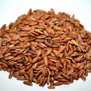 Red rice