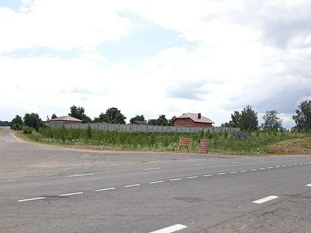 Борки (Дзержинский район, Минская область) Википедия
